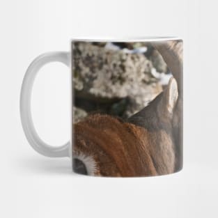 Ibex Mug